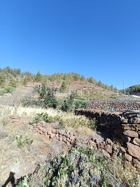 Foto 18744555-abaf-401b-b6d7-8503ffa25b81. Finca rústica a Vilaflor