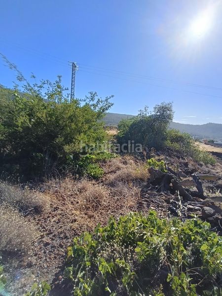 Foto 2c64da2e-ee9c-46bb-aa48-84c2e4813316. Finca rústica a Vilaflor