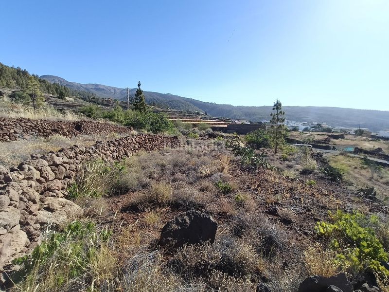 Foto 31c418d1-3bfc-4c00-abab-c653a1dd0070. Finca rústica a Vilaflor