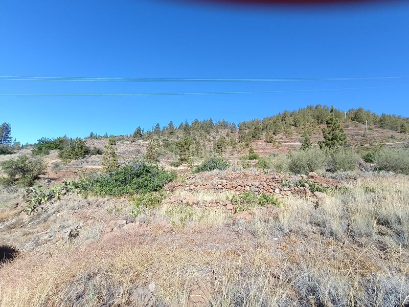 Foto 34d8dfe9-b503-4107-abf7-ef3a41874f5d. Finca rústica a Vilaflor