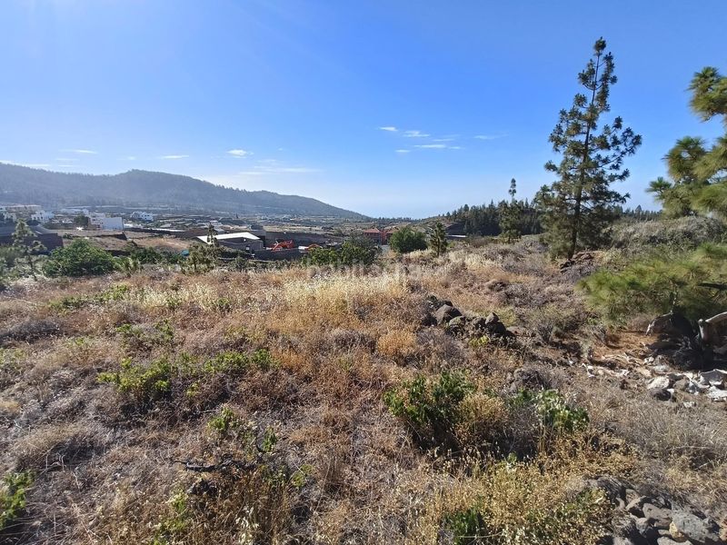 Foto 386692ba-43cd-4ed7-8ca4-8535aeaee4ae. Finca rústica a Vilaflor