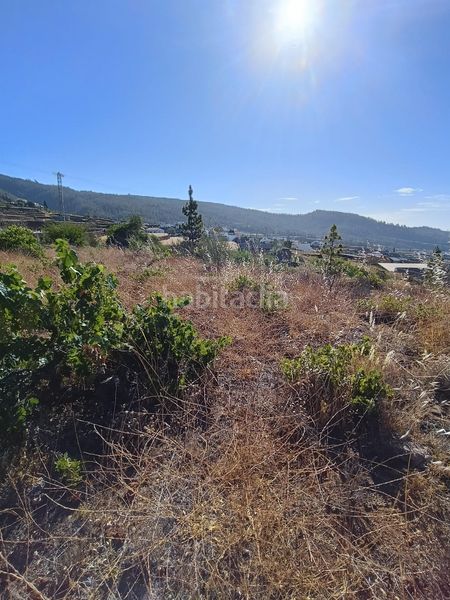 Foto 3d2825f5-eeba-4394-97c5-1483a7c38e40. Finca rústica a Vilaflor