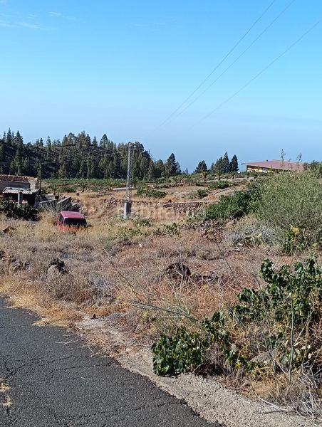 Foto 501fba3c-c919-4c69-9cd8-d5d8f19ef0ab. Finca rústica a Vilaflor