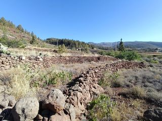 Finca rústica  M\a lirios. vilaflor de chasna [s.c. tenerife]. Se vende terreno rustico en vilaflor