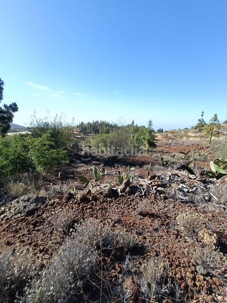 Foto 5a94b76c-04ed-41a1-9855-a455a4018bd3. Finca rústica a Vilaflor