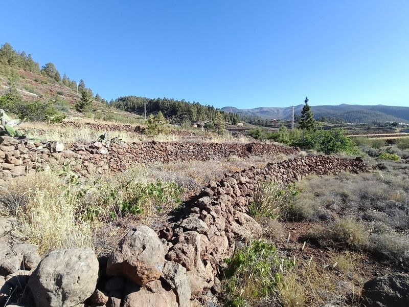 Foto 704fb9ea-d09e-41d1-8997-80ce2728cf39. Finca rústica a Vilaflor