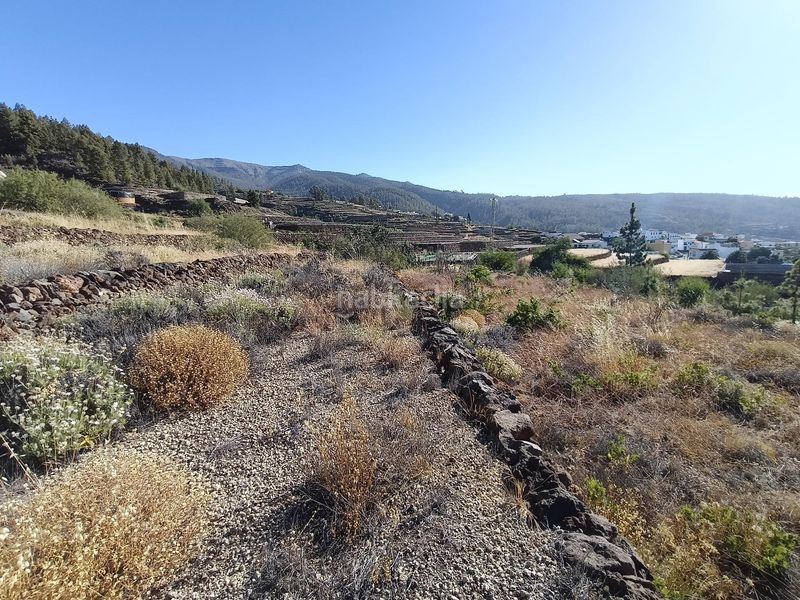 Foto 8eda9fed-80a9-4dd4-8fa2-c87cc67e7720. Finca rústica a Vilaflor