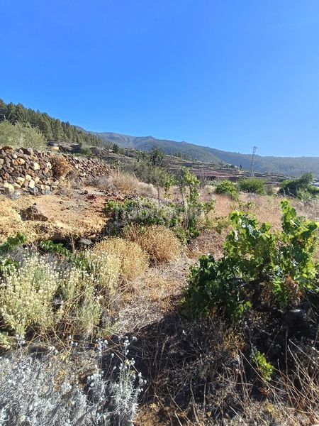 Foto 911fe0c7-822c-4ddf-99b2-32e09b201120. Finca rústica a Vilaflor