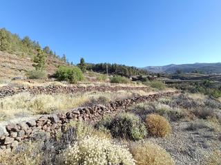 Finca rústica  M\a lirios. vilaflor de chasna [s.c. tenerife]. Se vende terreno rustico en vilaflor