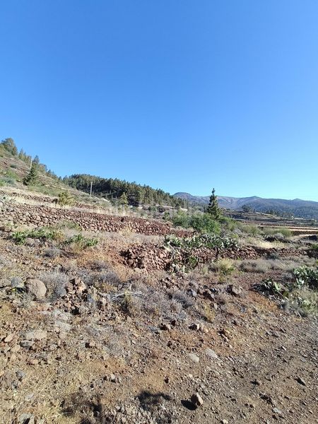 Foto 9bd51bba-0e19-4c52-928d-f247b769cb8e. Finca rústica a Vilaflor