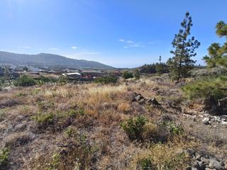 Finca rústica  M\a lirios. vilaflor de chasna [s.c. tenerife]. Se vende terreno rustico en vilaflor