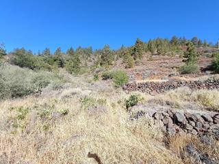 Propriété  M\a lirios. vilaflor de chasna [s.c. tenerife]. Se vende terreno rustico en vilaflor