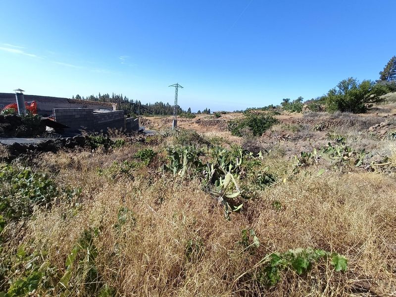 Foto a2ef8a8a-0187-4d86-84d9-72c14eb9b235. Finca rústica a Vilaflor