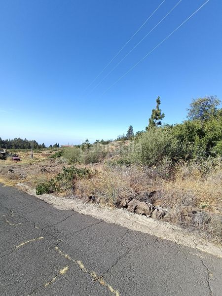 Foto a3e0fcca-3c0d-48dc-babb-1caa1c1c50c0. Finca rústica a Vilaflor