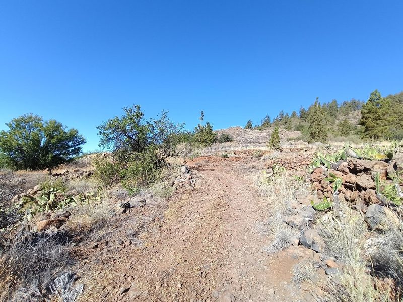 Foto aec4a9e0-9345-4d52-acf4-ce9e63db9cce. Finca rústica a Vilaflor