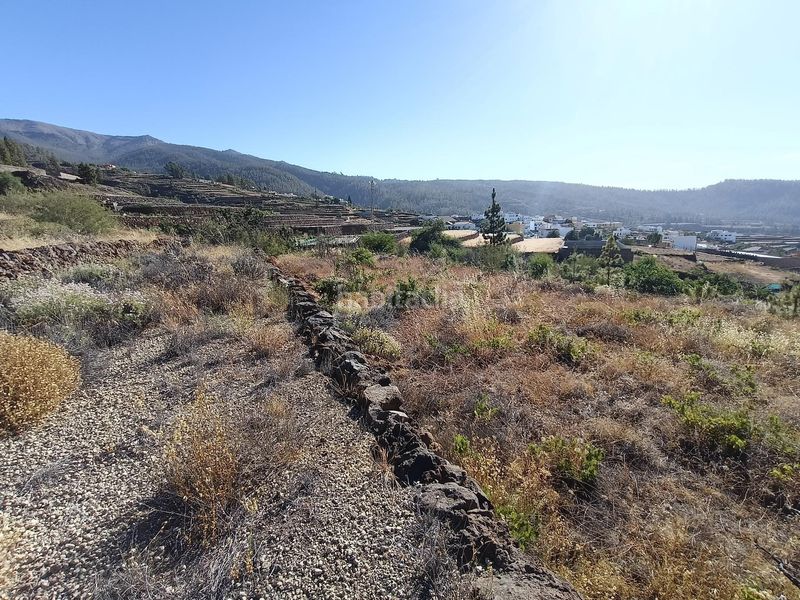 Foto b160f240-d14f-4f29-93a4-6d06df220bd1. Finca rústica a Vilaflor