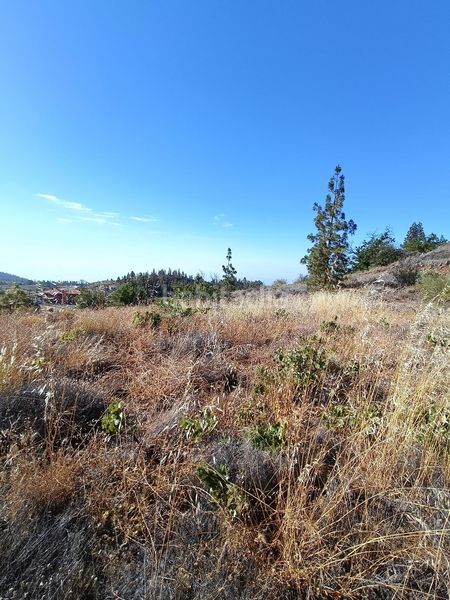 Foto bafa617d-3abb-4eaa-ba02-03a25a5a6397. Finca rústica a Vilaflor