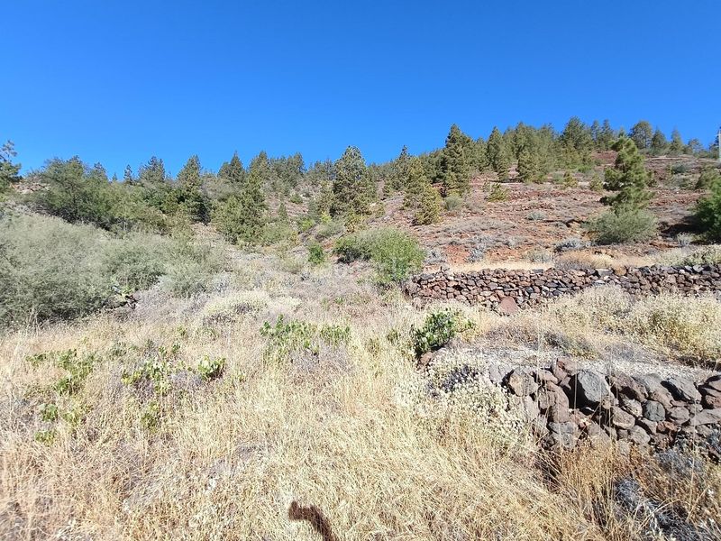 Foto bbb5b51d-b514-4db9-8d13-6d281cc6cf46. Finca rústica a Vilaflor