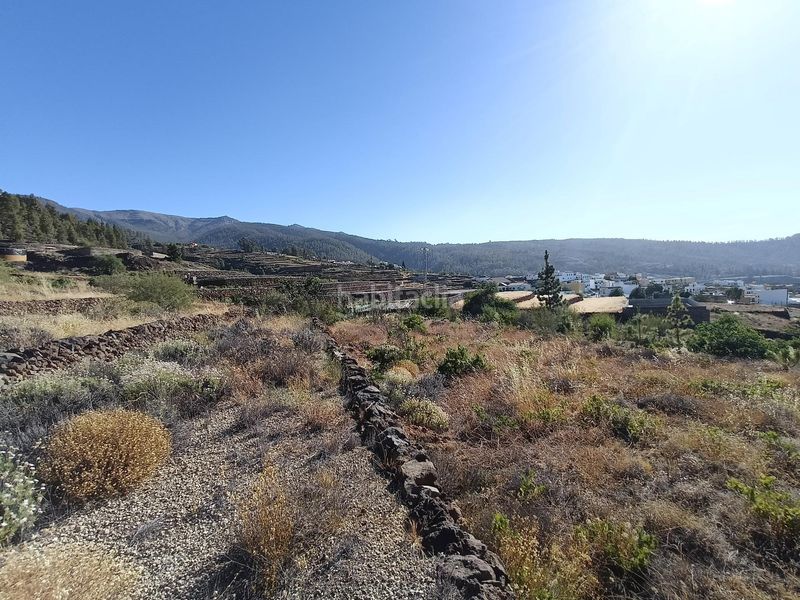 Foto e56d6e85-fc37-4546-be44-e1d1d1521c06. Finca rústica a Vilaflor