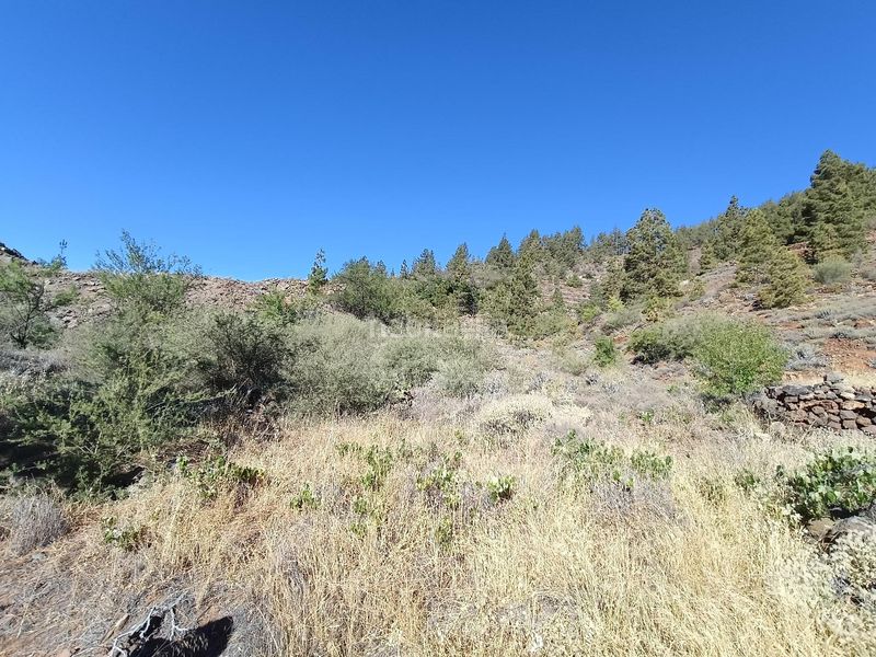 Foto ef197fc5-4273-4922-9b23-8ebc3dc9070b. Finca rústica a Vilaflor