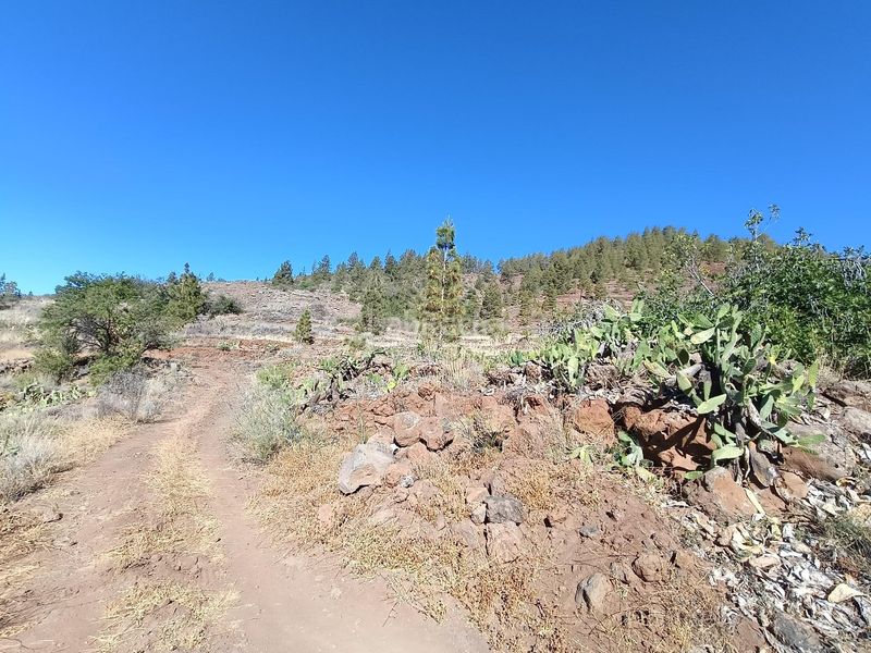 Foto f57e761b-b121-4c31-97b8-a8a48d467cc9. Finca rústica a Vilaflor