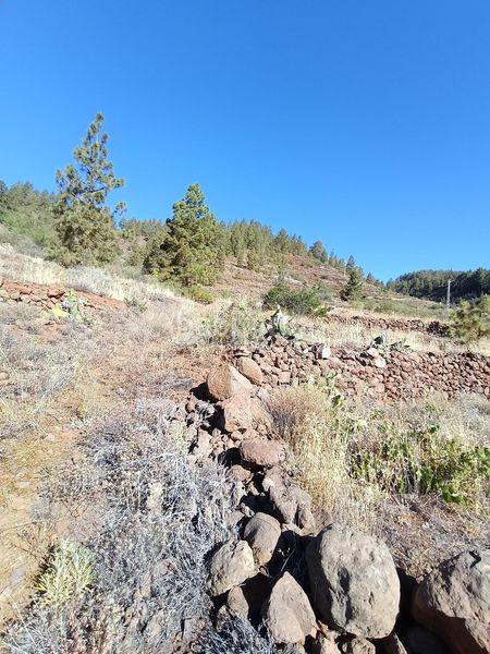 Foto f7de8732-96d9-42c6-a8a4-997080426eb7. Finca rústica a Vilaflor