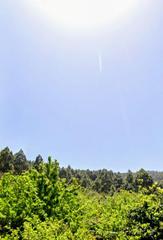 Rural plot in La Vega - El Amparo - Cueva del Viento. En venta terreno rústico en la peña, las breveritas, icod de los