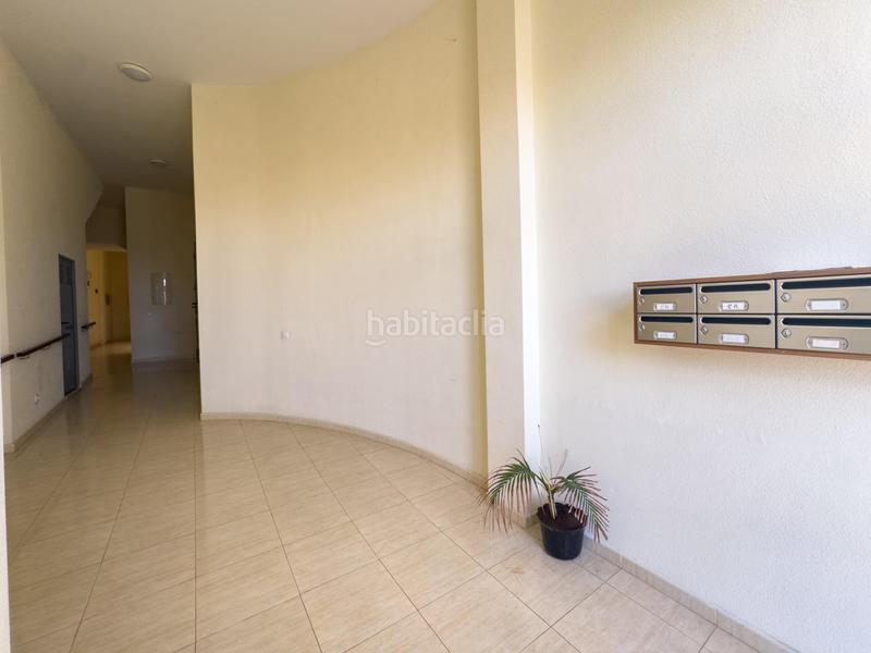 Foto 3e0b38c5-4a4d-423f-b1da-9c6a0184c0ee. Pis a perenquen el 1 a La Gallega Santa Cruz de Tenerife