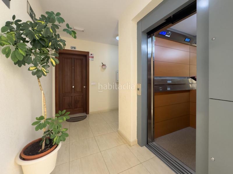 Foto 4275ee5d-a5ca-4944-8224-8dc12aedc781. Pis a perenquen el 1 a La Gallega Santa Cruz de Tenerife