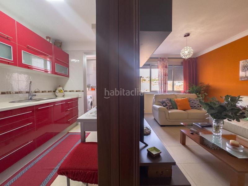 Foto 582dc402-b5f3-4f33-8e08-ebcb1cd64ffb. Pis a perenquen el 1 a La Gallega Santa Cruz de Tenerife