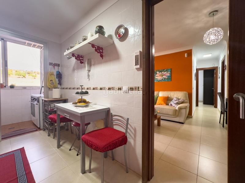 Foto c6274fc9-a29a-4d36-bd7a-fca63d82bbee. Pis a perenquen el 1 a La Gallega Santa Cruz de Tenerife