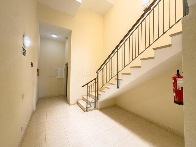 Foto c9b2c360-b4d6-4710-a5c0-69b9fd8f32a2. Pis a perenquen el 1 a La Gallega Santa Cruz de Tenerife