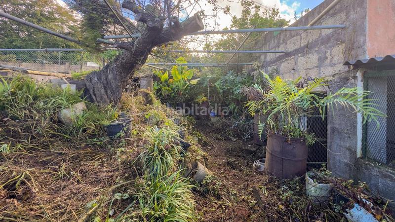 Foto 12700991-e286-407c-86e5-ec198656acc8. Casale in candelaria monte 31 in Campo de Golf - Agua García - Juan Fernández Tacoronte