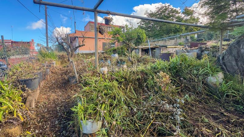 Foto d13939e2-2de6-492c-bfe7-c147f6f96fb5. Casale in candelaria monte 31 in Campo de Golf - Agua García - Juan Fernández Tacoronte