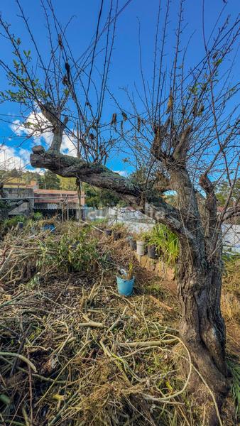 Foto f815142f-7b85-4179-a6af-689dc45ea48d. Casale in candelaria monte 31 in Campo de Golf - Agua García - Juan Fernández Tacoronte