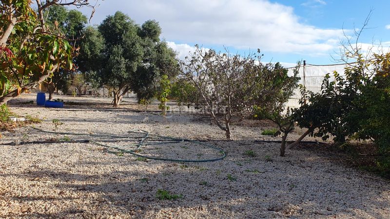 Foto 04d85c92-3636-4026-ac7d-8b8068f17048. Finca rústica a Arico
