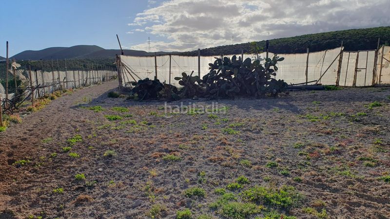 Foto 5567f5f8-6e95-493d-8c8d-8ffcb8e02eed. Finca rústica a Arico