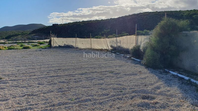 Foto c3522e79-e018-4208-80b4-1f046e1b0ee3. Finca rústica a Arico