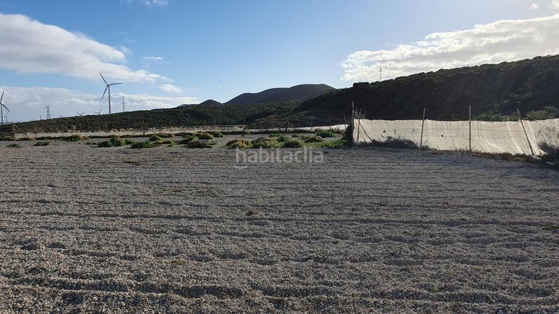 Foto c75ac984-0ec8-460c-9267-05d84193204d. Finca rústica a Arico