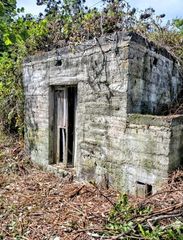 Fondo rustico in La Vega - El Amparo - Cueva del Viento. Buscas un rincón con alma en icod de los vinos donde construir t