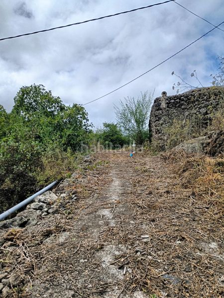 Foto 08672849-3c68-4801-b2d5-bfb1714aeebf. Finca rústica a La Vega - El Amparo - Cueva del Viento Icod de los Vinos