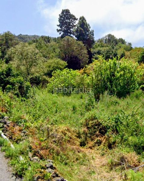 Foto 5a866240-c046-46fb-9af7-7dc441864ce6. Finca rústica a La Vega - El Amparo - Cueva del Viento Icod de los Vinos