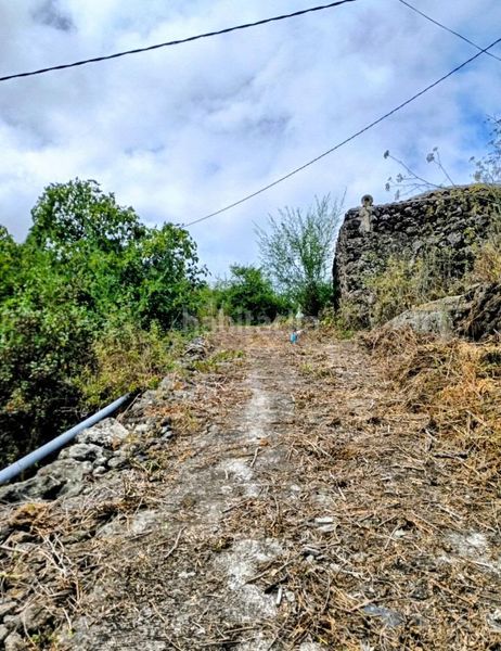Foto 76034e4e-5d23-47b5-b0b1-93bd4339fa64. Finca rústica a La Vega - El Amparo - Cueva del Viento Icod de los Vinos