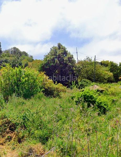 Foto a5c55d73-e450-47eb-9eda-e2e59be15bd4. Finca rústica a La Vega - El Amparo - Cueva del Viento Icod de los Vinos