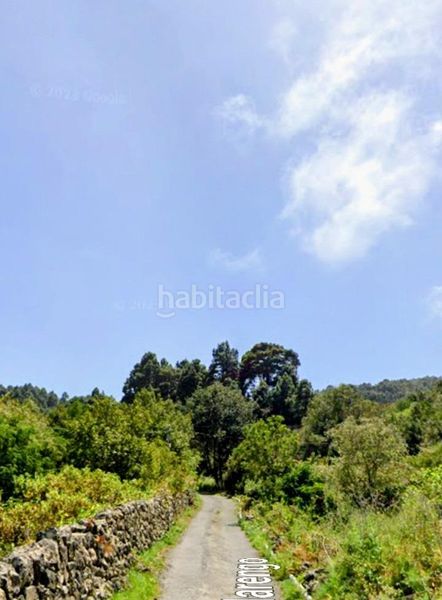 Foto b0c3a96a-b7d4-446b-a777-fe054d4cbdec. Finca rústica a La Vega - El Amparo - Cueva del Viento Icod de los Vinos