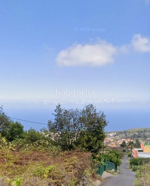 Foto df8ba482-cdaf-4772-a7f0-e6350223fe72. Finca rústica a La Vega - El Amparo - Cueva del Viento Icod de los Vinos