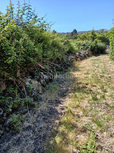 Foto 92d51e04-6b95-4a12-a532-483fb3b46767. Finca rústica a camino Garachico 10 a Garachico