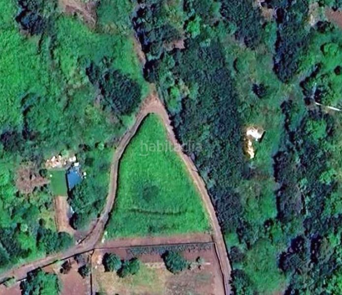 Foto a61e6e38-1a2c-4bda-b2dd-d371650ec3fb. Finca rústica a camino Garachico 10 a Garachico