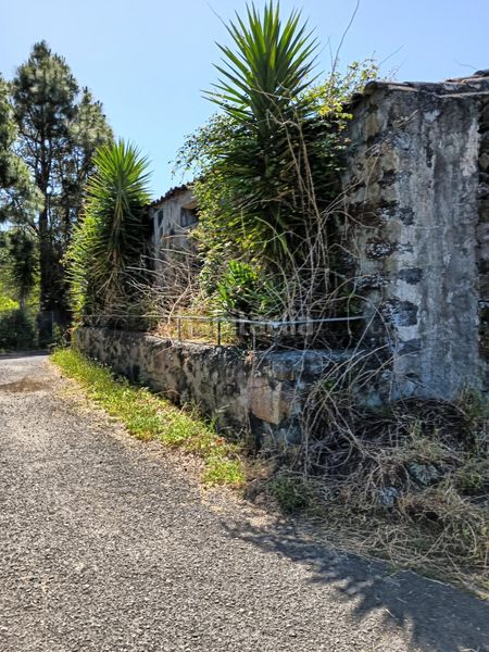 Foto f5c99d55-c46d-4d3e-8a0b-189fd8180cda. Masia amb aparcament a Garachico
