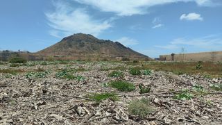 Rural plot in Guaza. Terreno rústico de 14.510 m2 en guaza arona  ultimo cultivo en 2